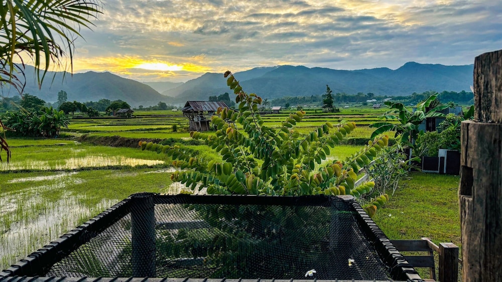 Deetorjai FarmStay Nan