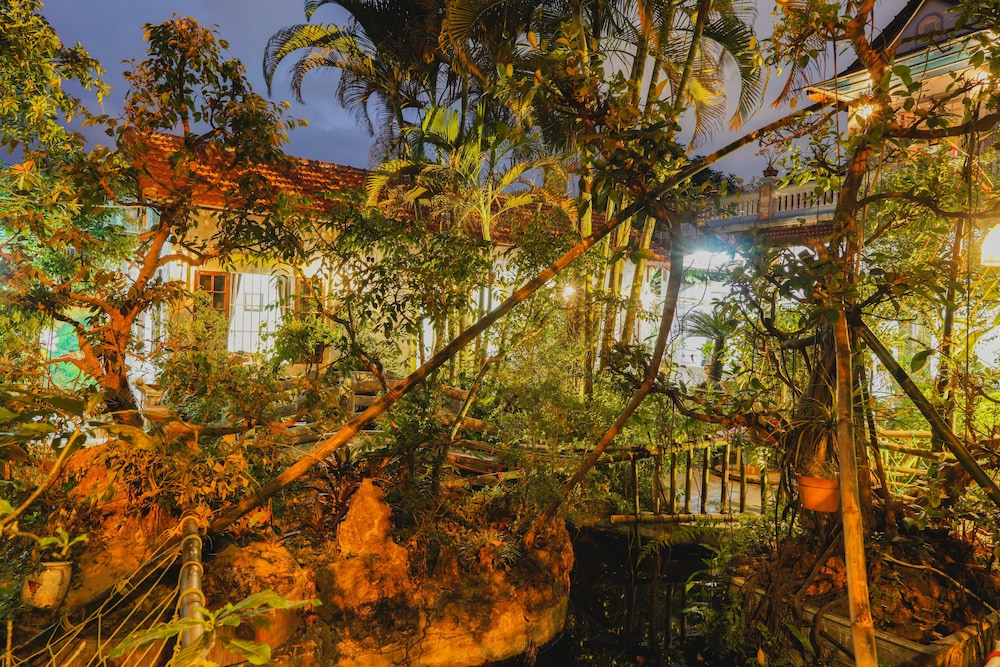 Photo 45