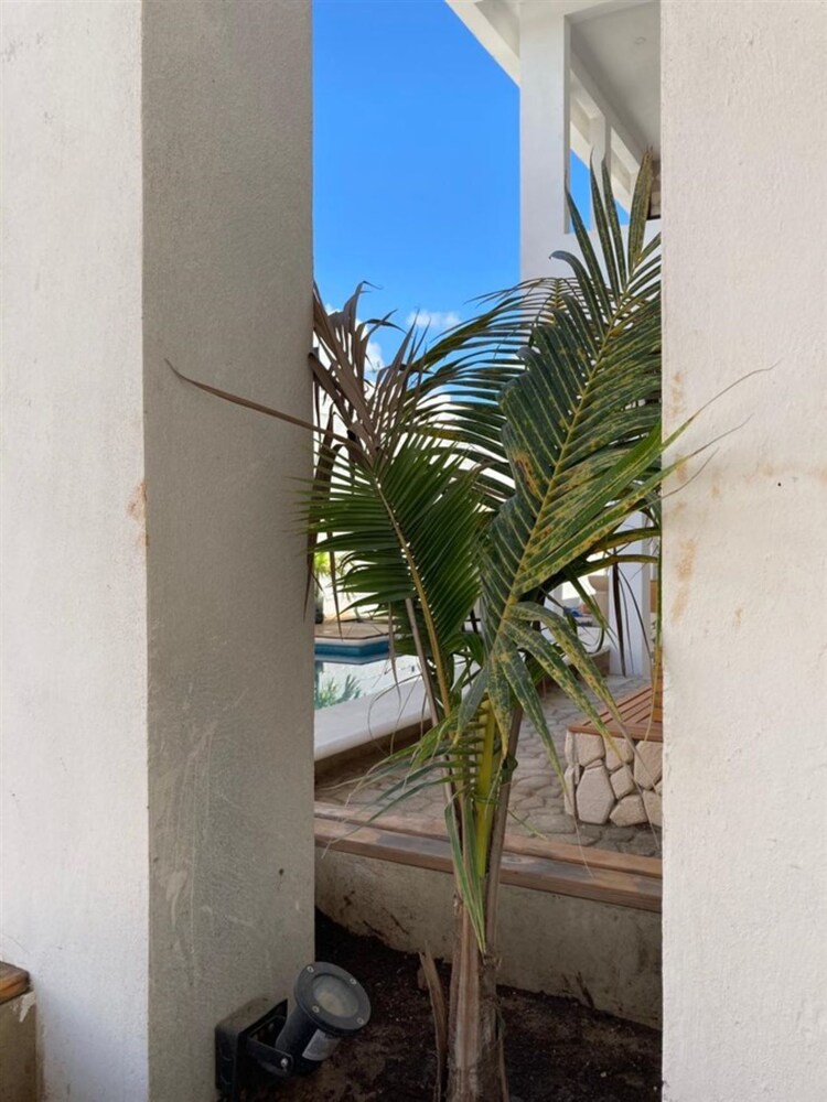 Torres del Sol Cancún