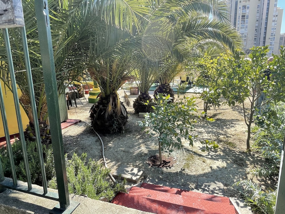 Oasis in Split Near the Center view 2