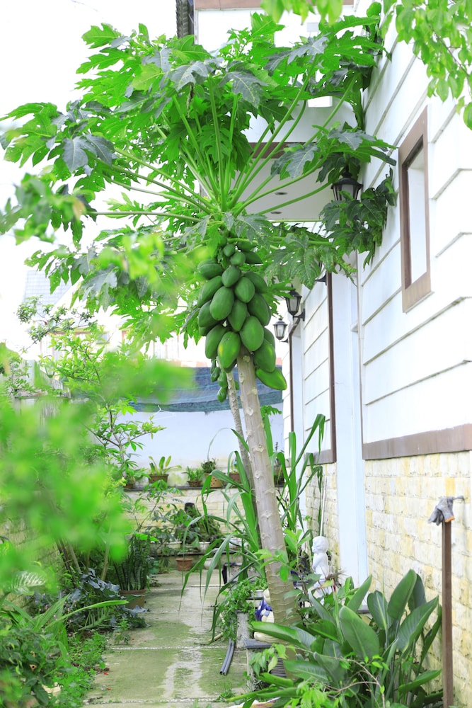 Hoai Huong Homestay
