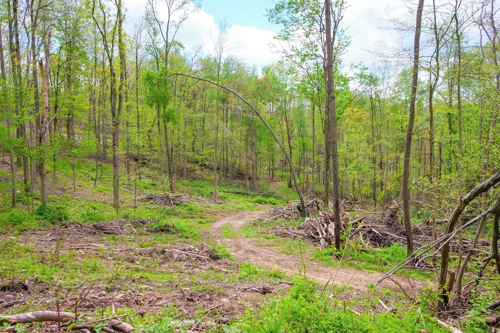 1 Mi to Mohican River: Wooded Retreat w/ Trails!
