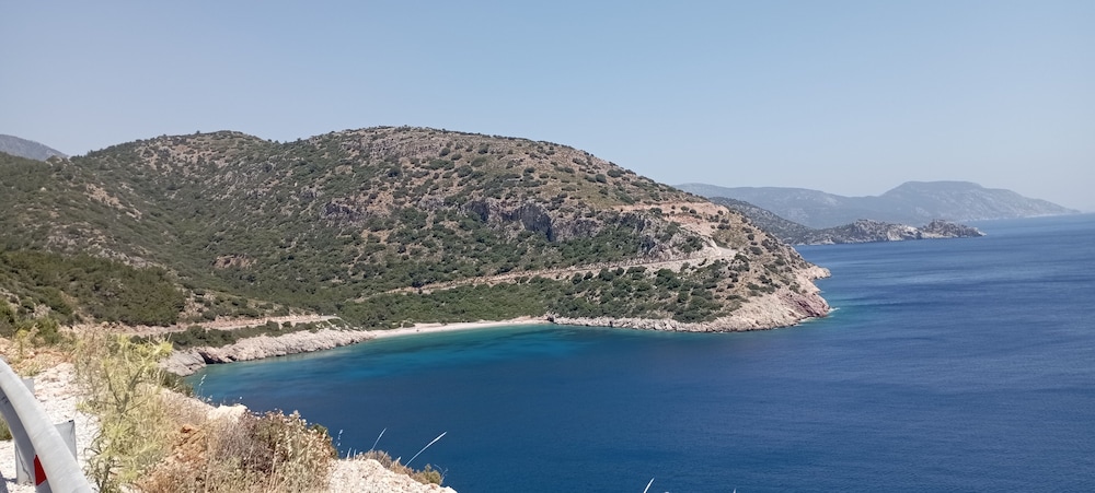 Photo 25
