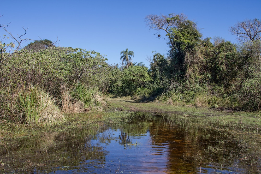 Wild Wetlands Lodge