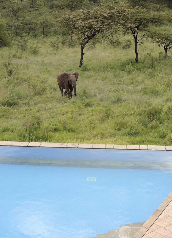 Spirit Of The Masai Mara
