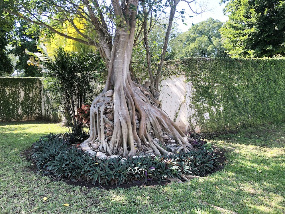 Villa San Antonio de Padua