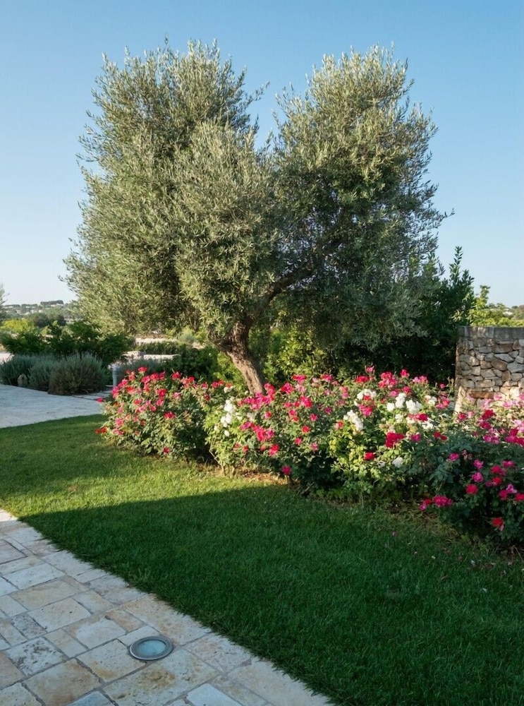 Tenuta Odegitria
