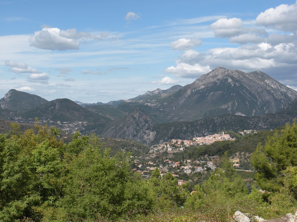 Photo 40