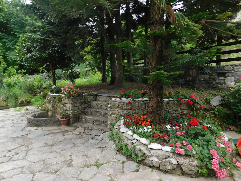 Photo 31