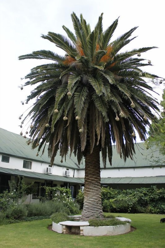 Lemoenfontein