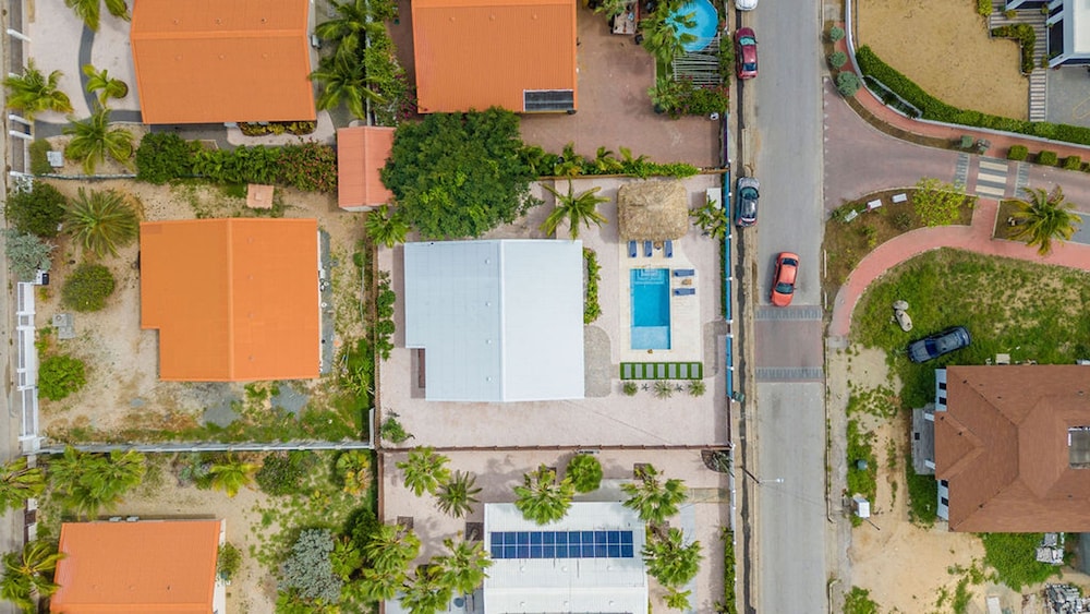 House of Joy Palapa Pool Near Eagle Beach