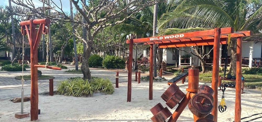 Photo 11