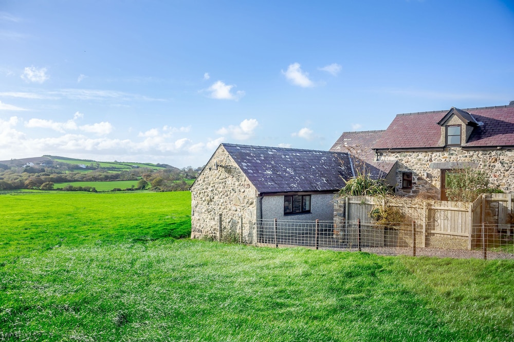 Bwythyn-y-wennol