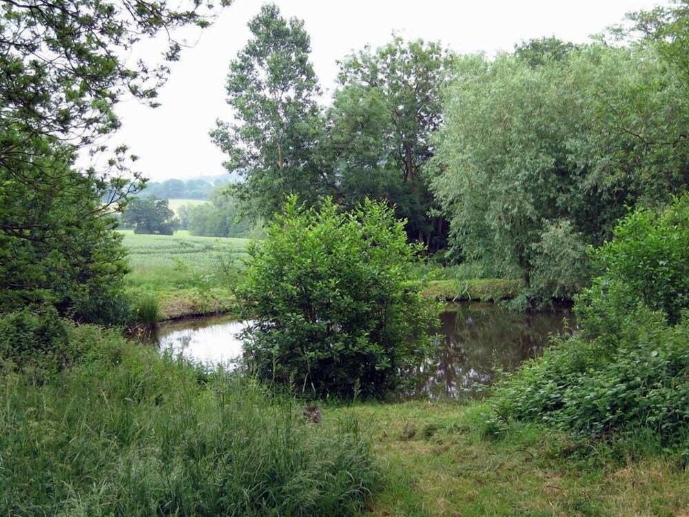 Elephant Cottage view 3