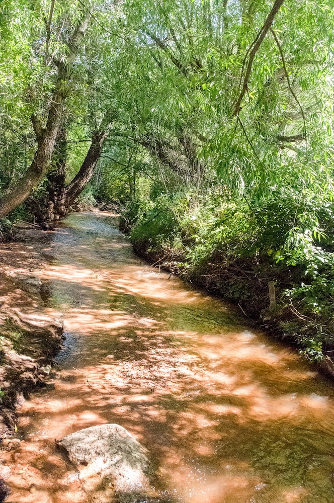7 Bedroom on the Side of Pikes Peak on a Mountain Stream