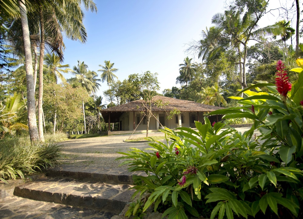 Ivory House