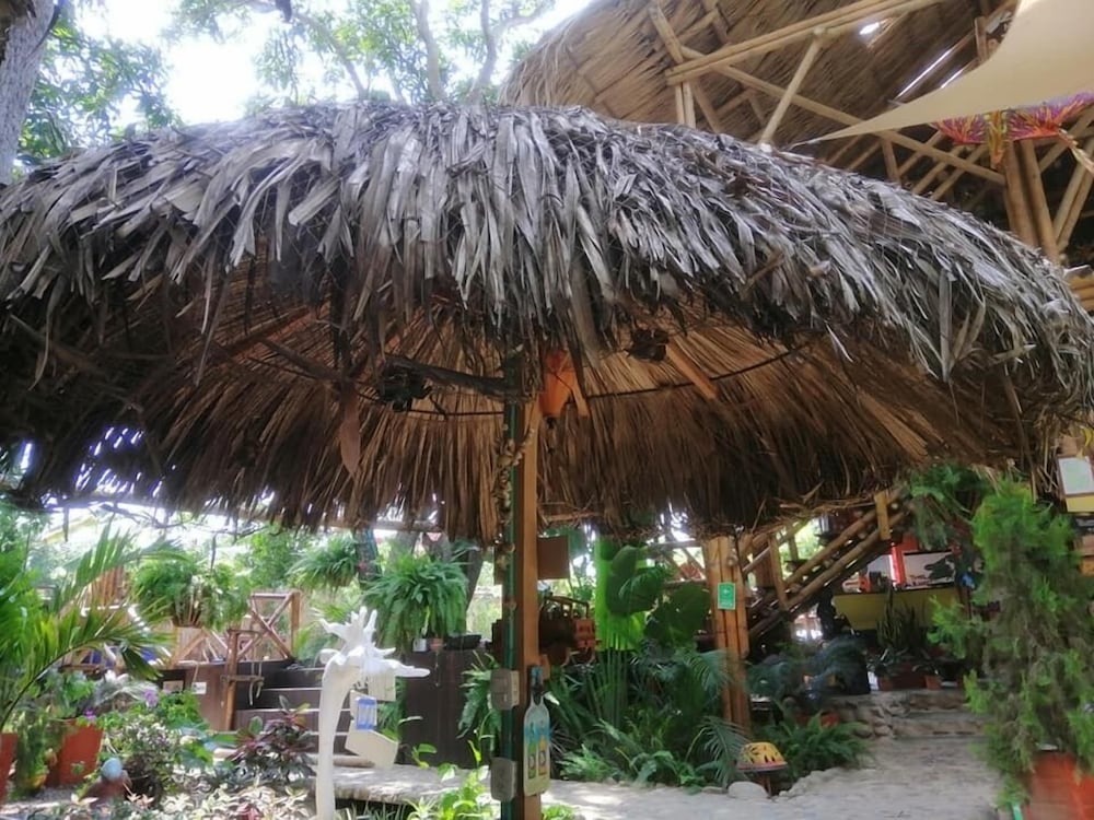 La Natura Hostel - Property Image 15