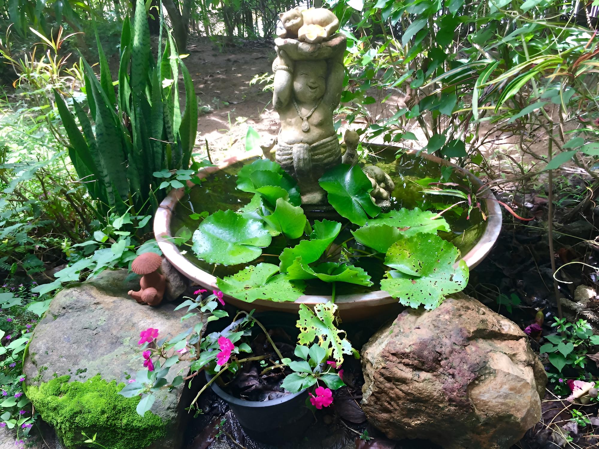 Bueng Pai Farm