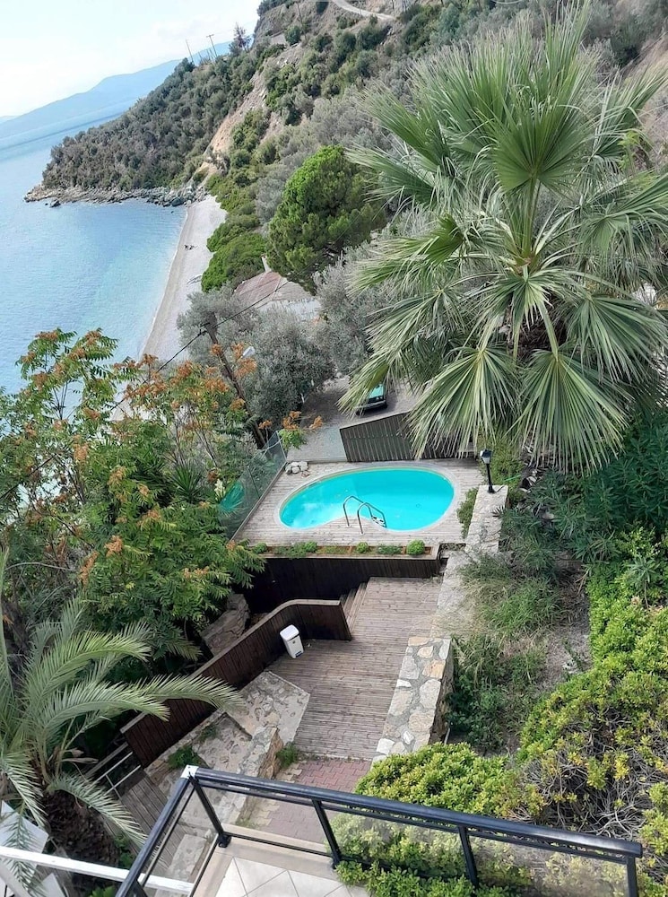 Penelope's Blue photo 5