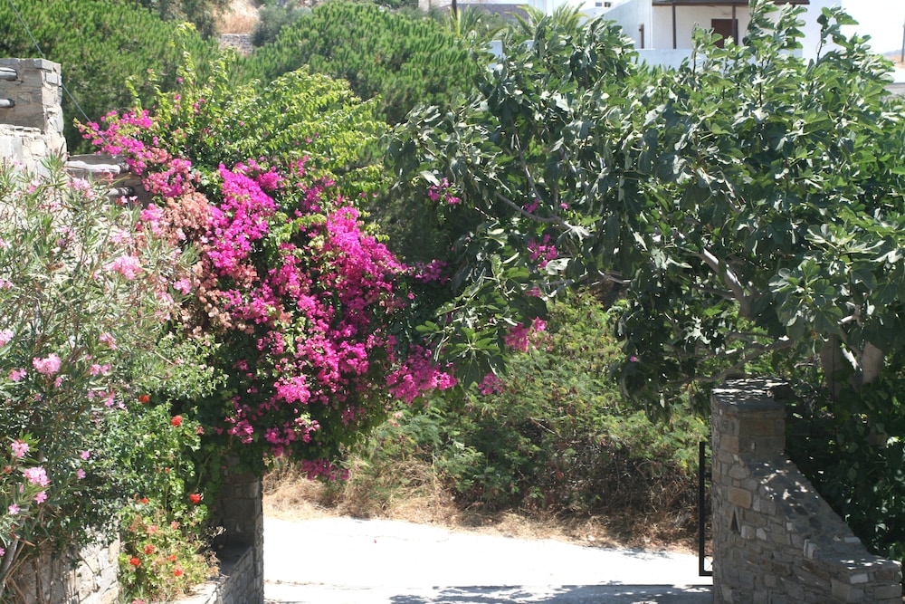 Villas Georgy