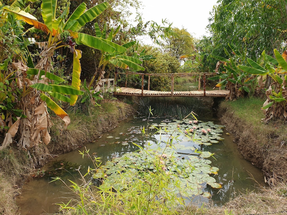 Mint Bodhivann Jungle Retreat view 4