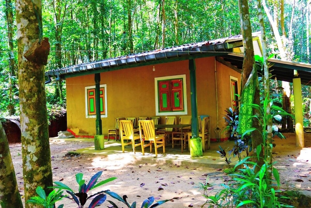 Makeliya Jungle & Waterfall Tour