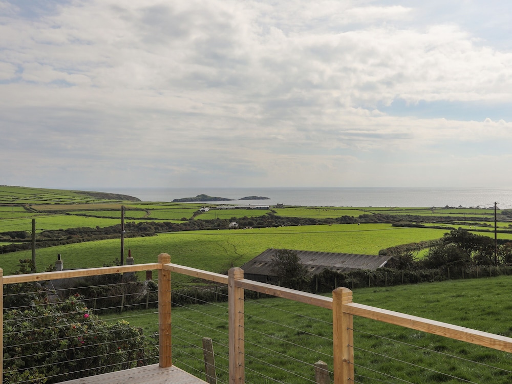 Cae'r Wylan