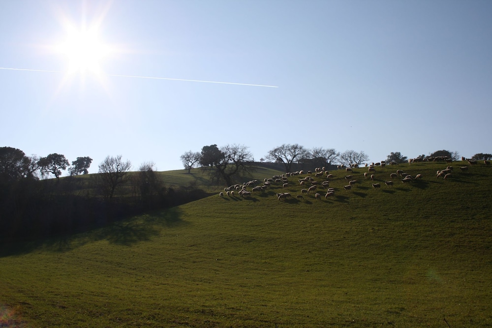 Agriturismo Serratone