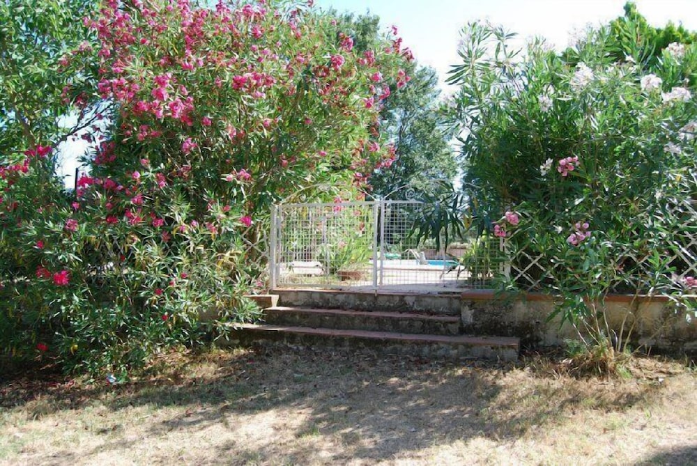 Tenuta il Pino