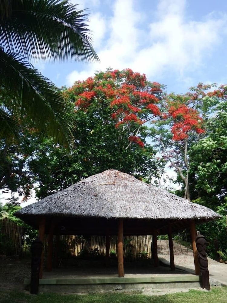 Photo 23