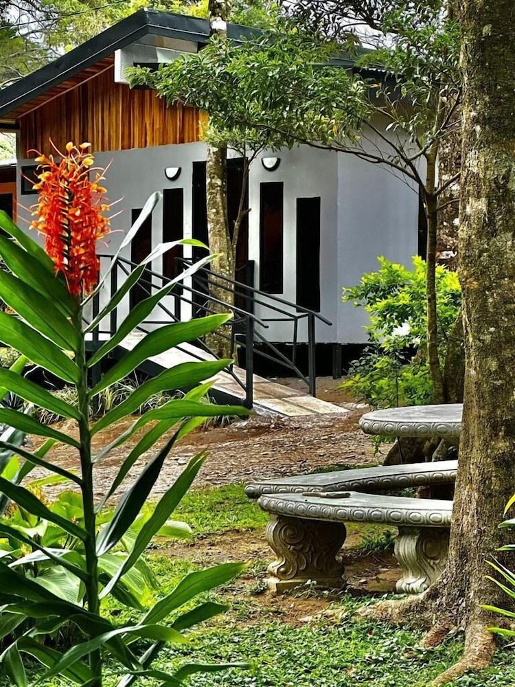 Cabañas Roca Verde Monteverde