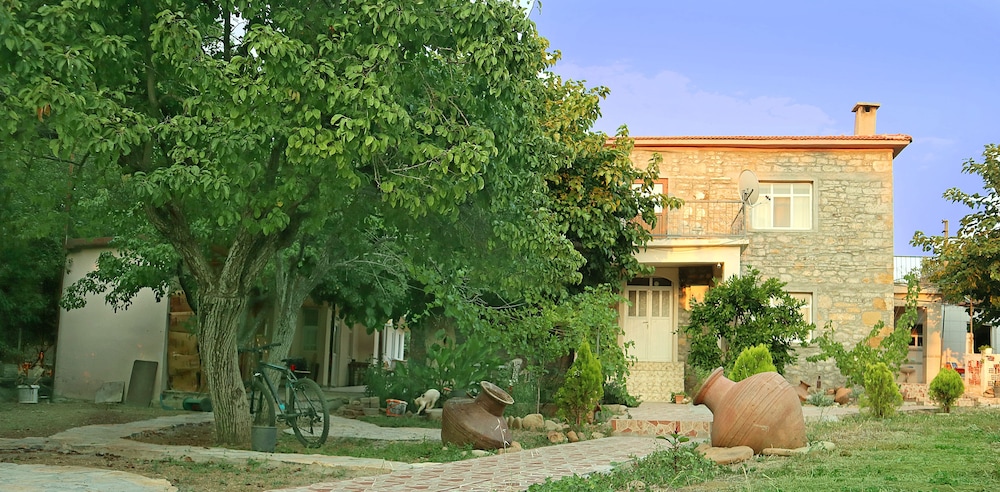 Photo 13