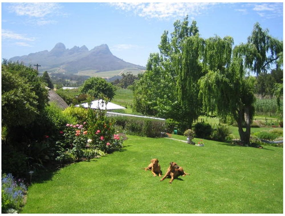 Acara Guest Cottages