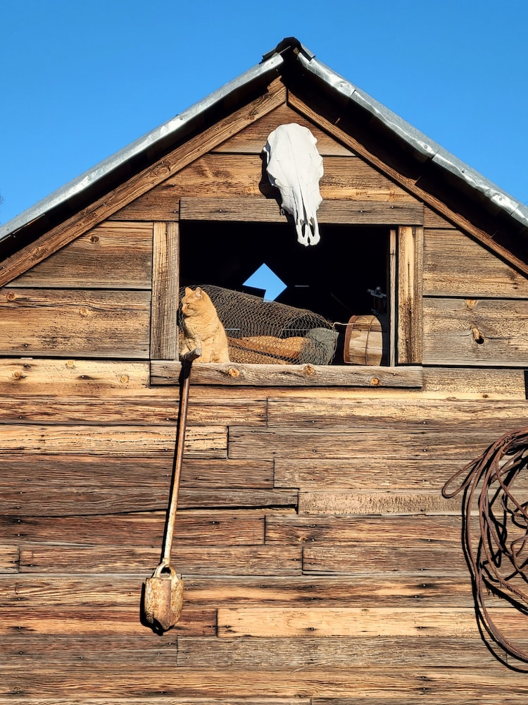 8 Mile Farm B&B