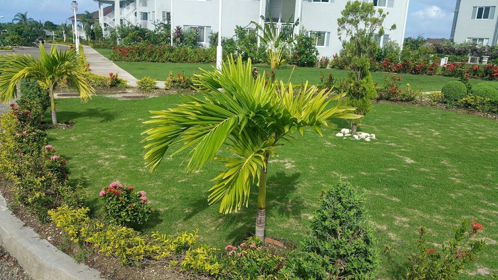 Oceanic View Apartment at Fern Court, photo 46
