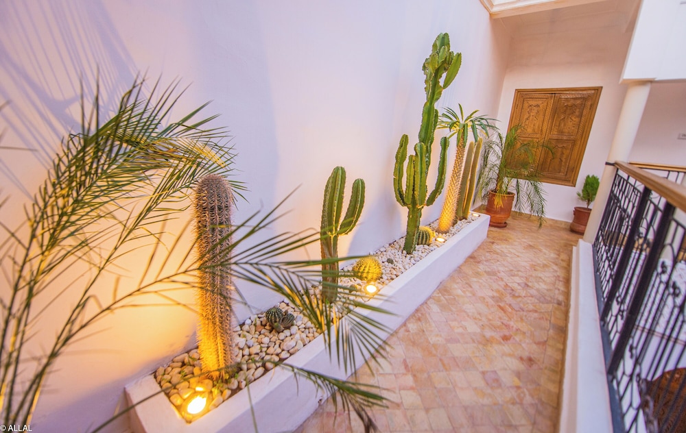 Riad Amskal