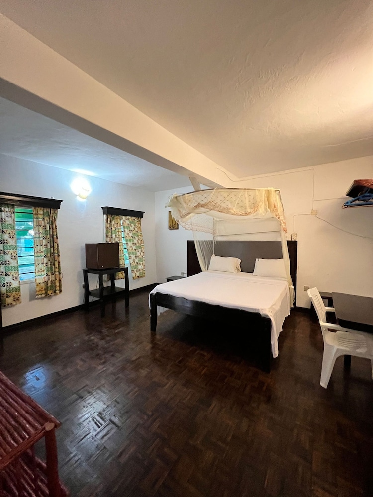 The New Big Tree Beach Resort