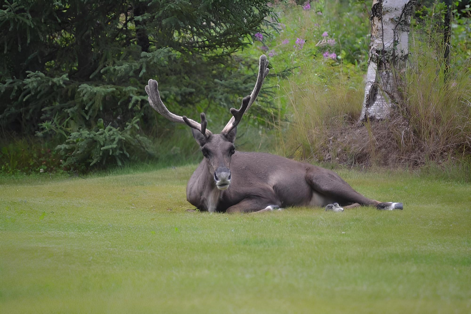 AllSeasons Bed & Breakfast view 4