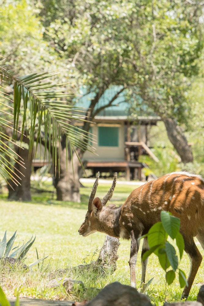 Xaro Lodge