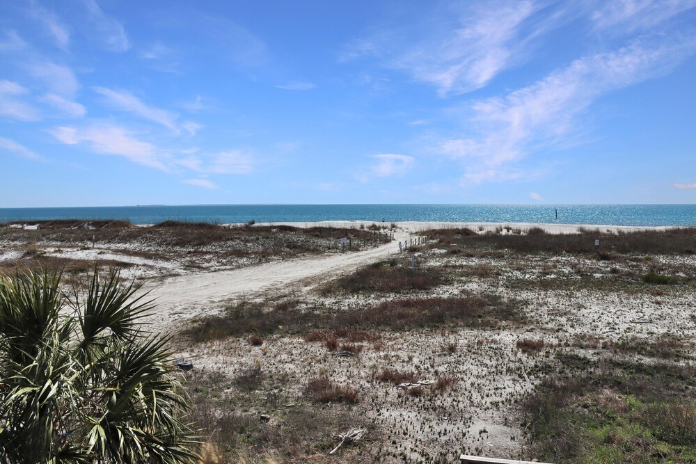 The Blue Turtle view 5