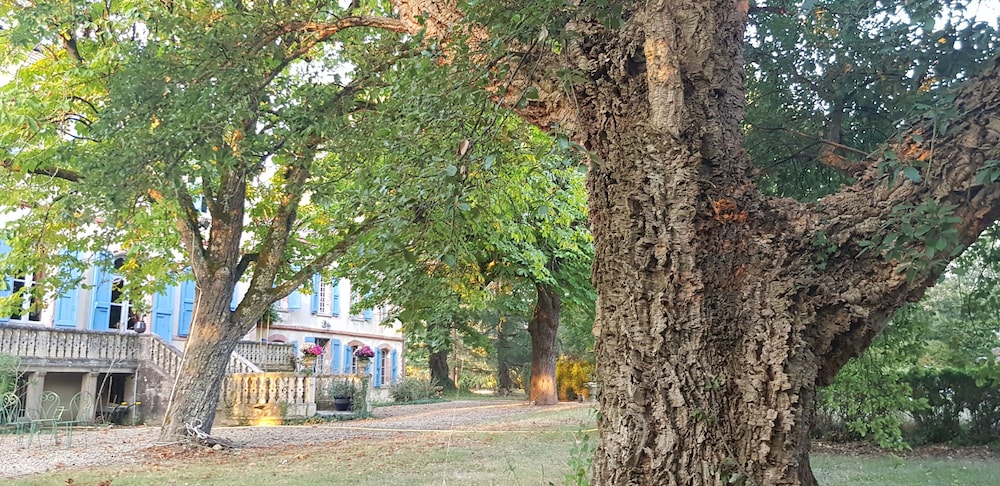 Photo 46