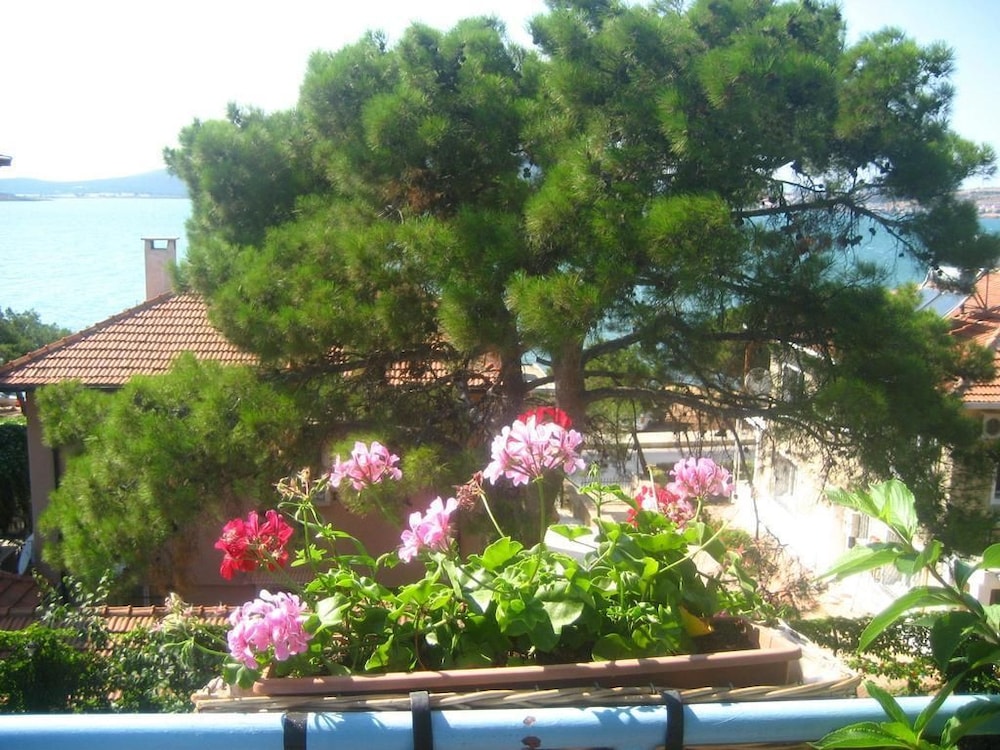 Mavi Pansiyon