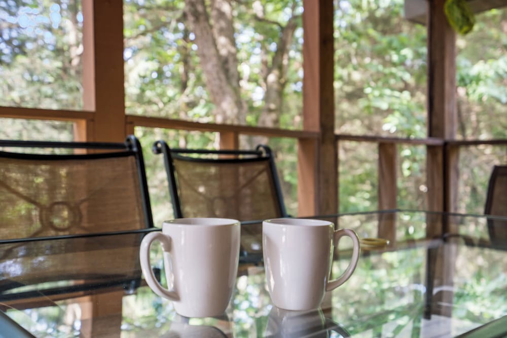 Baldknobber Ridge Escape - West Branson Cabin!