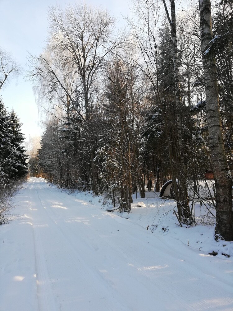 Photo 28