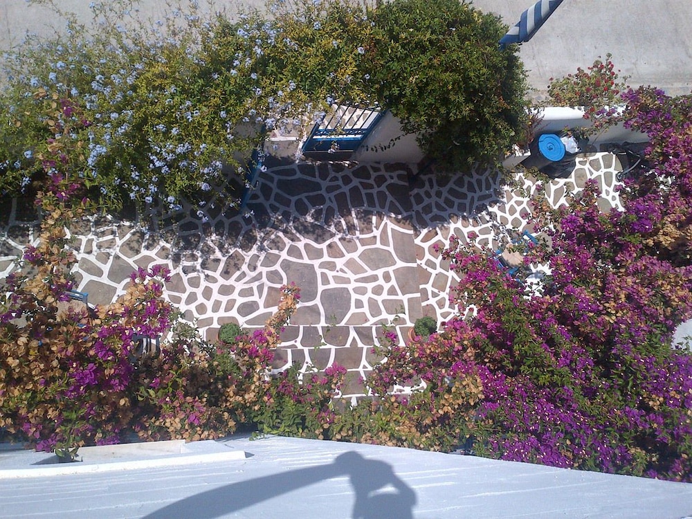 Pelagos Studios