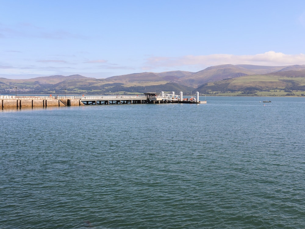 Bryn Tegid
