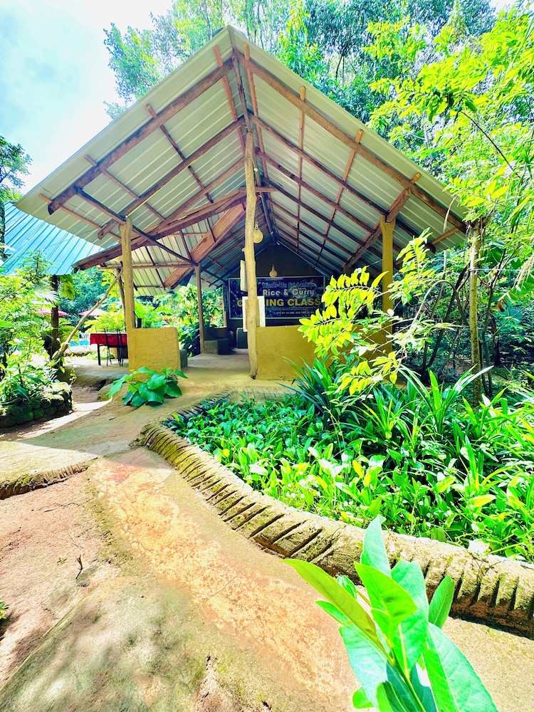 Woodland Sanctuary