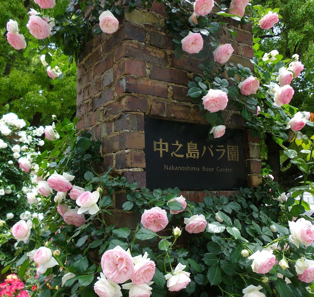 At RLiS House Namba Minami