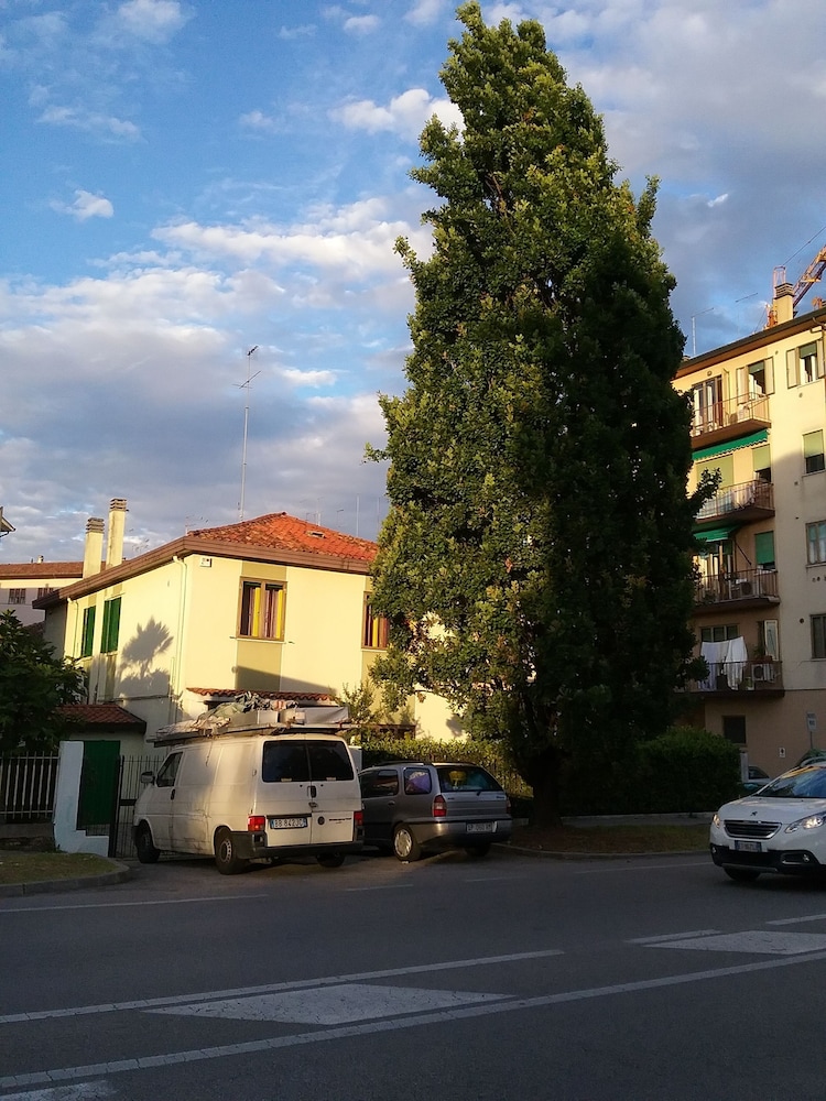 B&B Evergreen