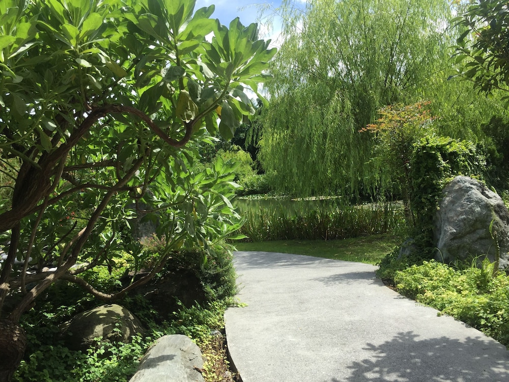 Green Willow House